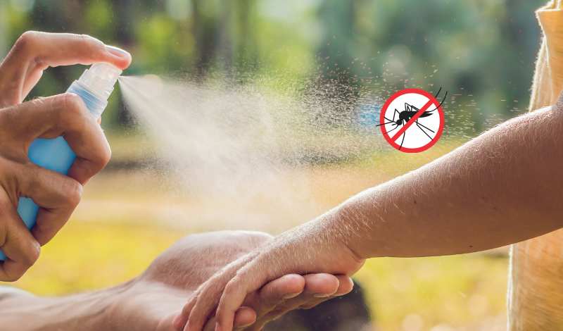 Sivrisinek Kovucu Doğal Çözümler+Tarifler